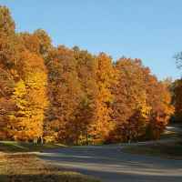 Beautiful winding roads near milepost 418.
