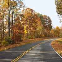 Fall foliage near milepost 420.