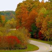 Fall foliage near milepost 423.