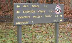 Natchez Trace National Scenic Trail runs alongside Burns Branch.