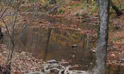 Fall foliage view at Burns Branch.