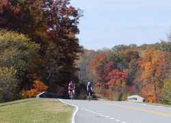 A couple of cyclists enjoying a beautiful fall afternoon.