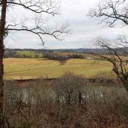 Late fall view of the Duck River from Baker Bluff Overlook on the Natchez Trace.