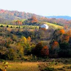 View from Baker Bluff Overlook of the farmland on the other side of the Duck River.