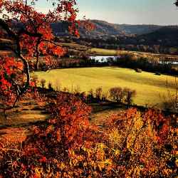 Fall foliage at Baker Bluff Overlook.