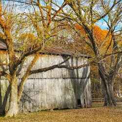 Tobacco Barn
