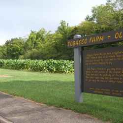 Tobacco Farm - Old Trace interpretive sign.