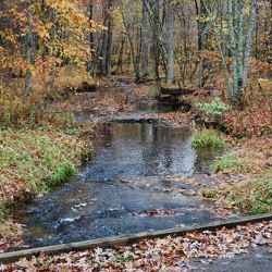 A creek that crosses Old Trace Drive.