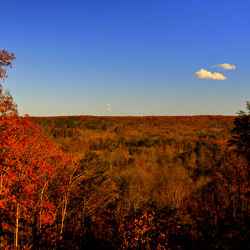 Overlook at Old Trace Drive