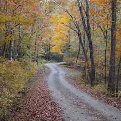 Fall foliage on Old Trace Drive