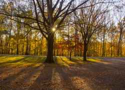 MelissaDixon-11132021-CypressCreek1