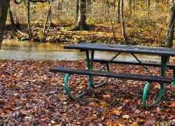 Next to the picnic area rolls this creek where kids can skip rocks.