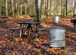Enjoy your picnic here in the shade and next to the creek.