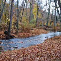 Sweetwater Branch just off the parkway.