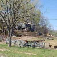 Barnyard area at Creekview Farm Retreat.