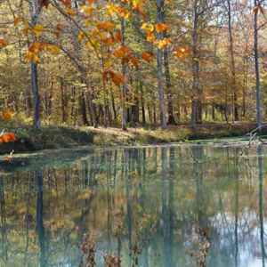 Fall foliage at the beaver pond.