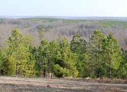 View from the overlook.