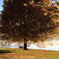 Peaceful Pond Setting