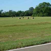 Hay bales next to the parkway.