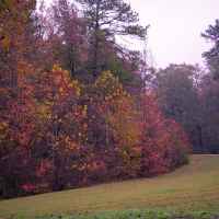Autumn on the Parkway near milepost 12.