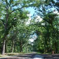 Parkway view from the Bullen Creek site.
