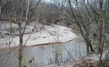 Mud Island Creek