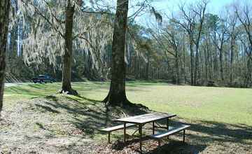 Turpin Creek has a picnic area with several tables and grills.