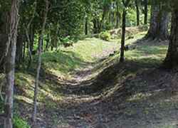 These are some of the best preserved Confederate rifle pits from the Civil War due to their remote location and the presevation efforts of the Grand Gulf Military Monument Commission.