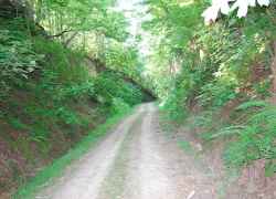 Deep cut roads through the loess soil are similar to what both armies marched on in the spring of 1863.