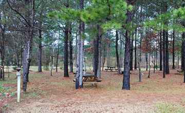 Picnic Grounds