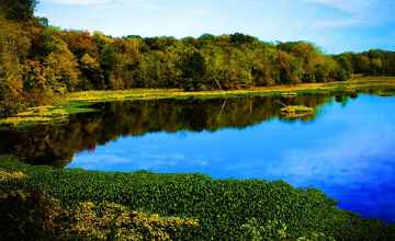 Fall foliage at River Bend.