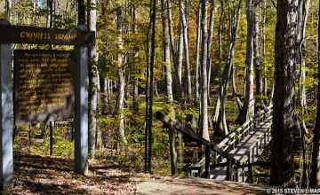 View of Cypress Swamp from the parking area.