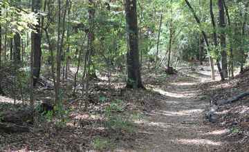 Old Trace at the Brashear's Stand site.