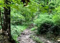 Mississippi - Line Creek