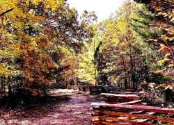 Tennessee - a section of the Old Trace at the Meriwether Lewis Death & Burial site
