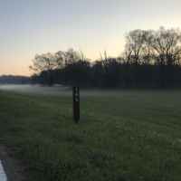 Foggy morning at milepost 161 on the Natchez Trace Parkway near Kosciusko.