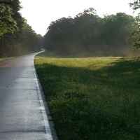 Morning mist on the Natchez Trace Parkway near Kosciusko.