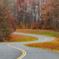 Photo taken at a couple bends in the parkway near milepost 432.