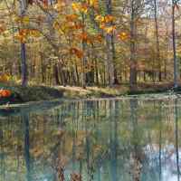 Fall foliage at the beaver pond at the Rock Spring site.