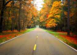 Fall foliage on the Natchez Trace Parkway near milepost 116.