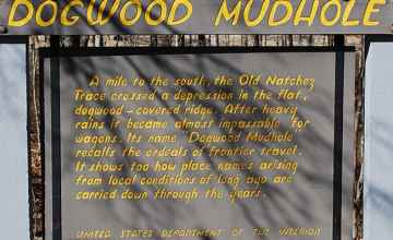 Interpretive sign at Dogwood Mudhole.