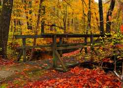 Mississippi - Myrick Creek