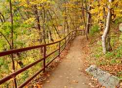 Pathway to Jackson Falls.