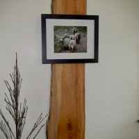 Interesting way to display a photo.