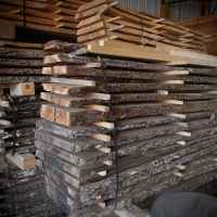 Stickered wood from the Sanctuary grounds.