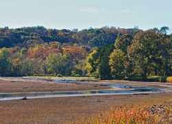 Alabama - Colbert Ferry
