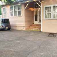 Parking Area and Garage