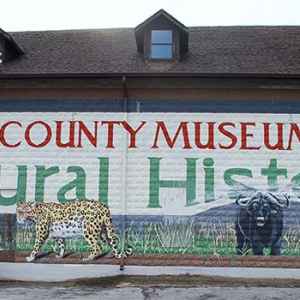 Lewis County Museum of Natural History - Hohenwald, Tennessee