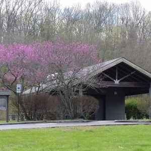 Garrison Creek - Natchez Trace Parkway