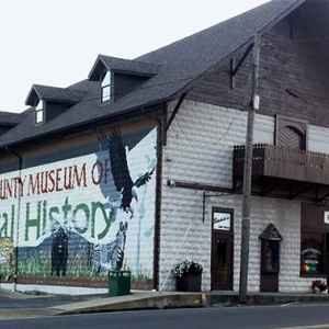 Lewis County Museum of Natural History - Hohenwald, Tennessee